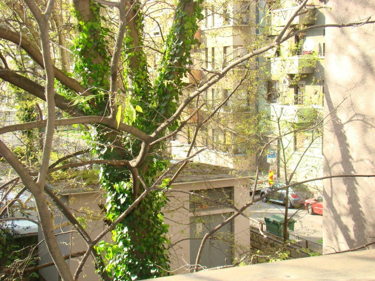 My Sun Apartment Rijeka Ngoại thất bức ảnh